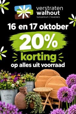 Grote Actie dag! 20% korting op alles!