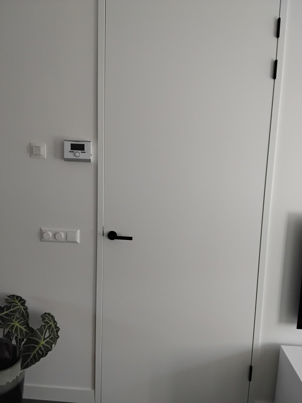 Binnendeur