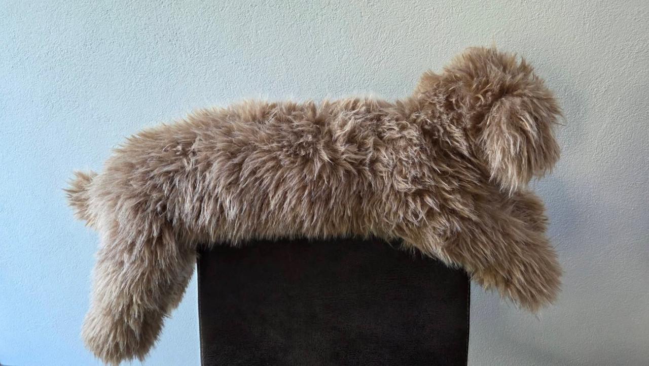 🥰 Heeeeeeeele lange Bedknuffel Hond (HEMA).