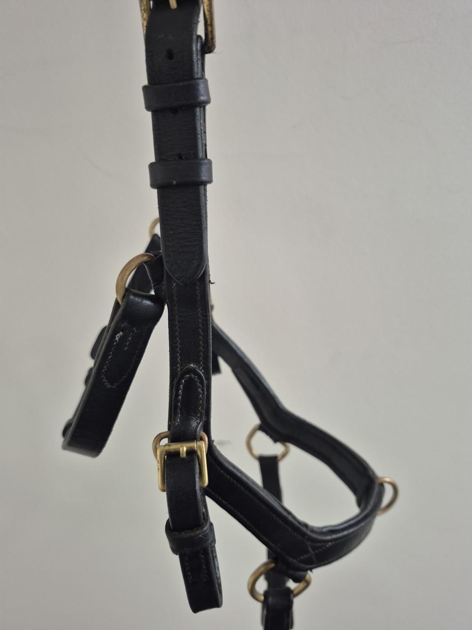 Rambo micklem multibridle hoofdstel
