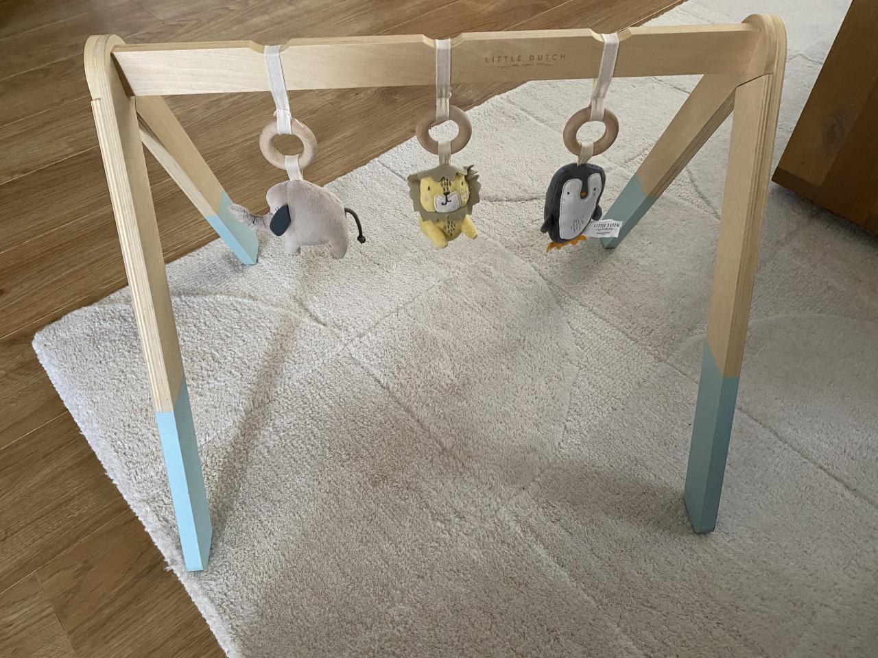 Little Dutch- Babygym