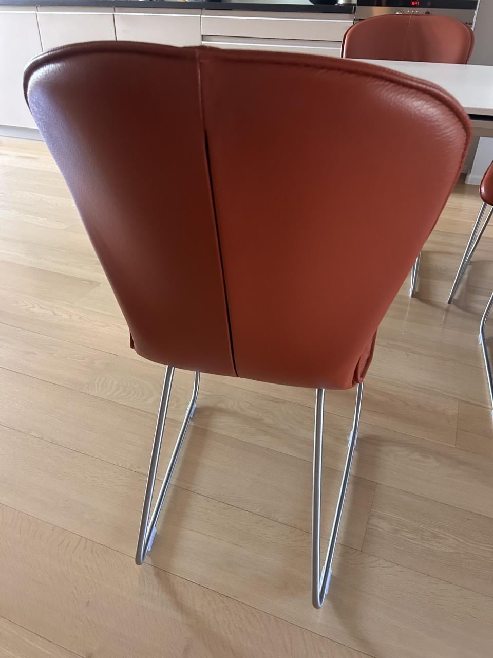 Moderne eettafel met Bert Plantagie stoelen