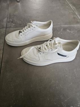 Sneakers Boss