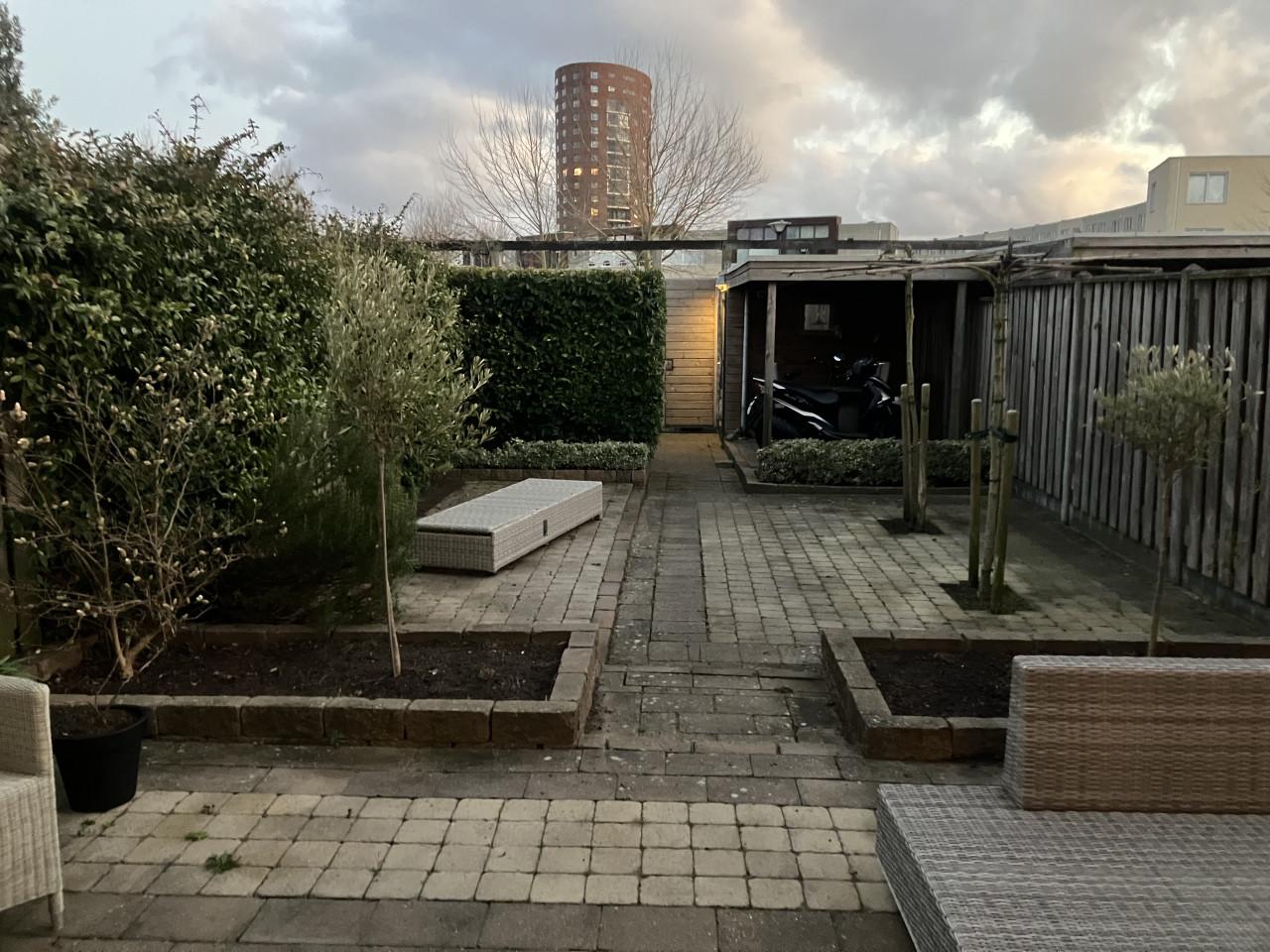 Professioneel Tuinonderhoud Walcheren & Zuid-Beveland | Vaste Prijzen!
