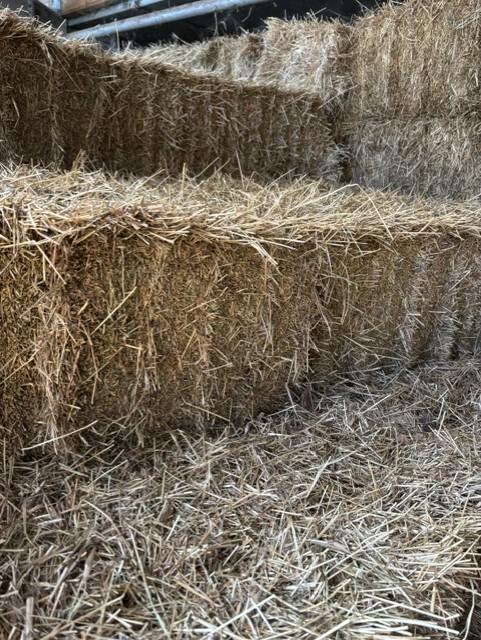 Graszaadhooi te koop!