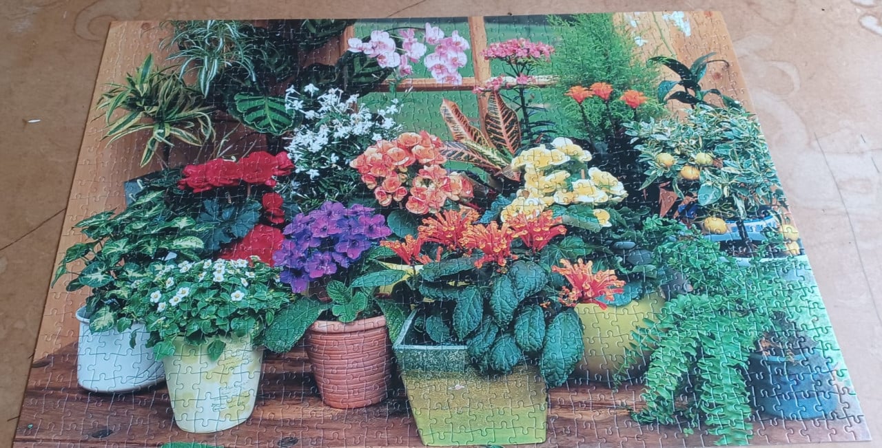 Puzzel Potted Flowers