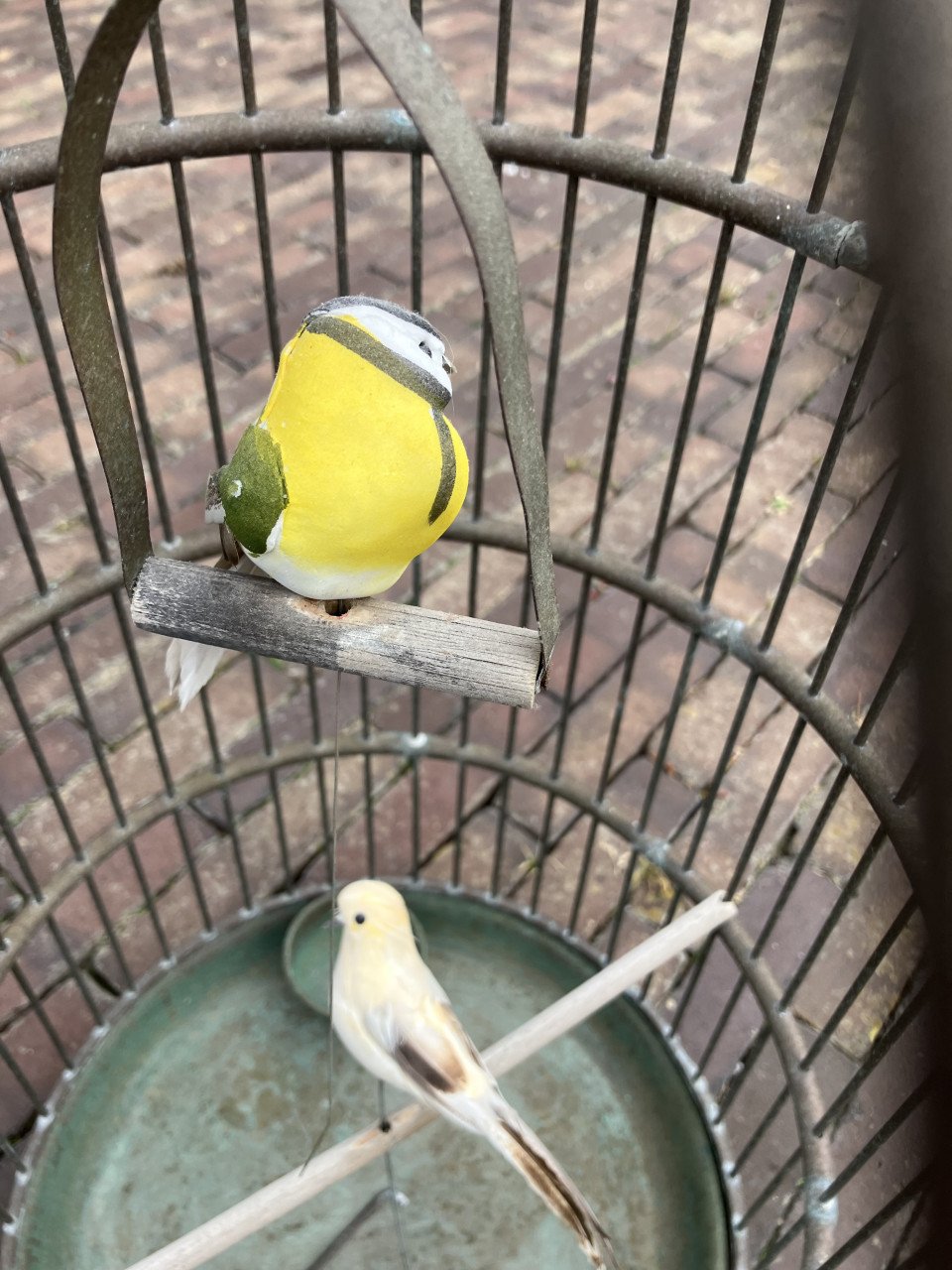 Vogelkooi decoratief
