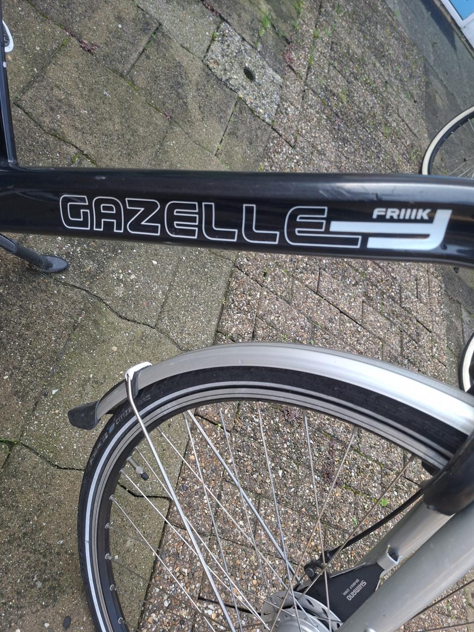 Gazelle Friiik aparte fiets
