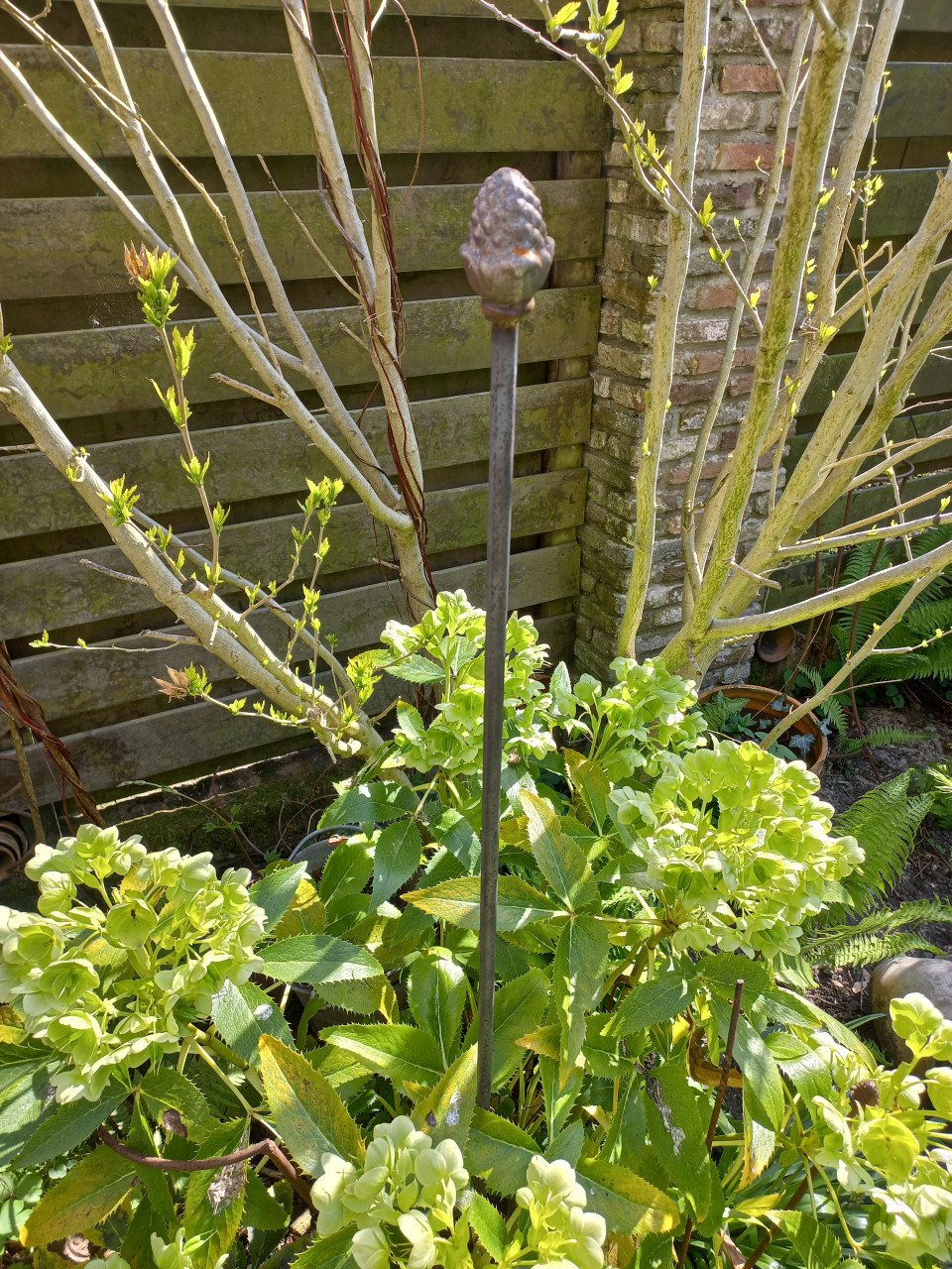 Planten steunen