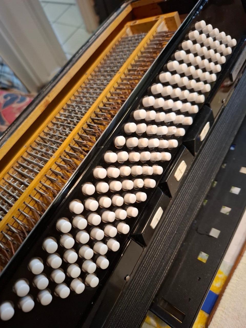 Accordeon ACCORLEONI cassotto