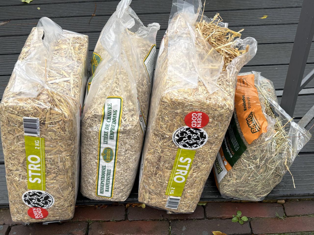 Lief geholpen koppeltje dwergkonijnen incl hok en toebehoren