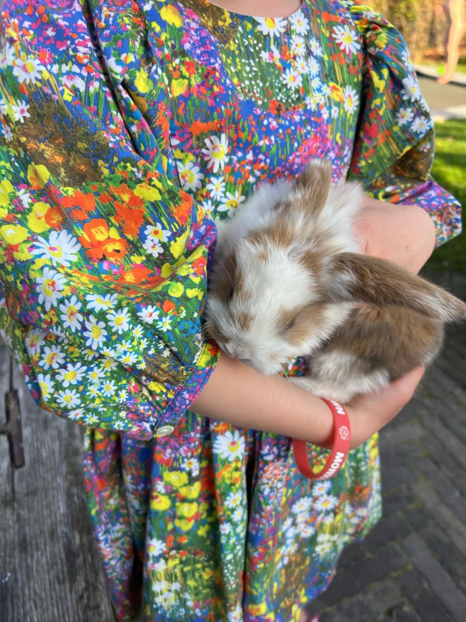 Jonge franse hangoren