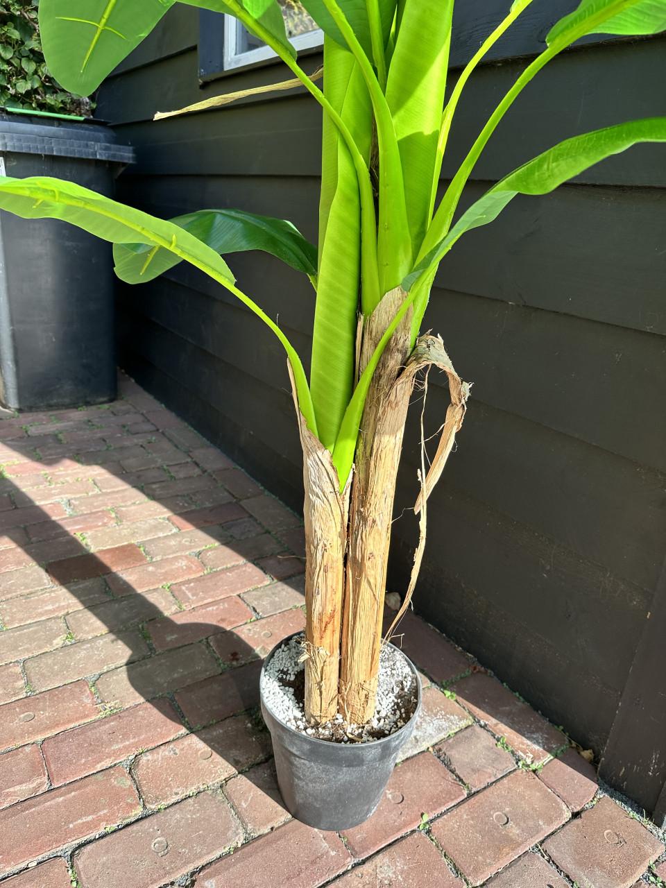 Zo goed als nieuwe kunstplant 160 cm