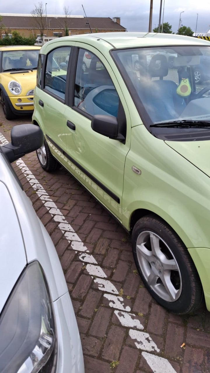 Fiat panda 1.2 dynamic groen
