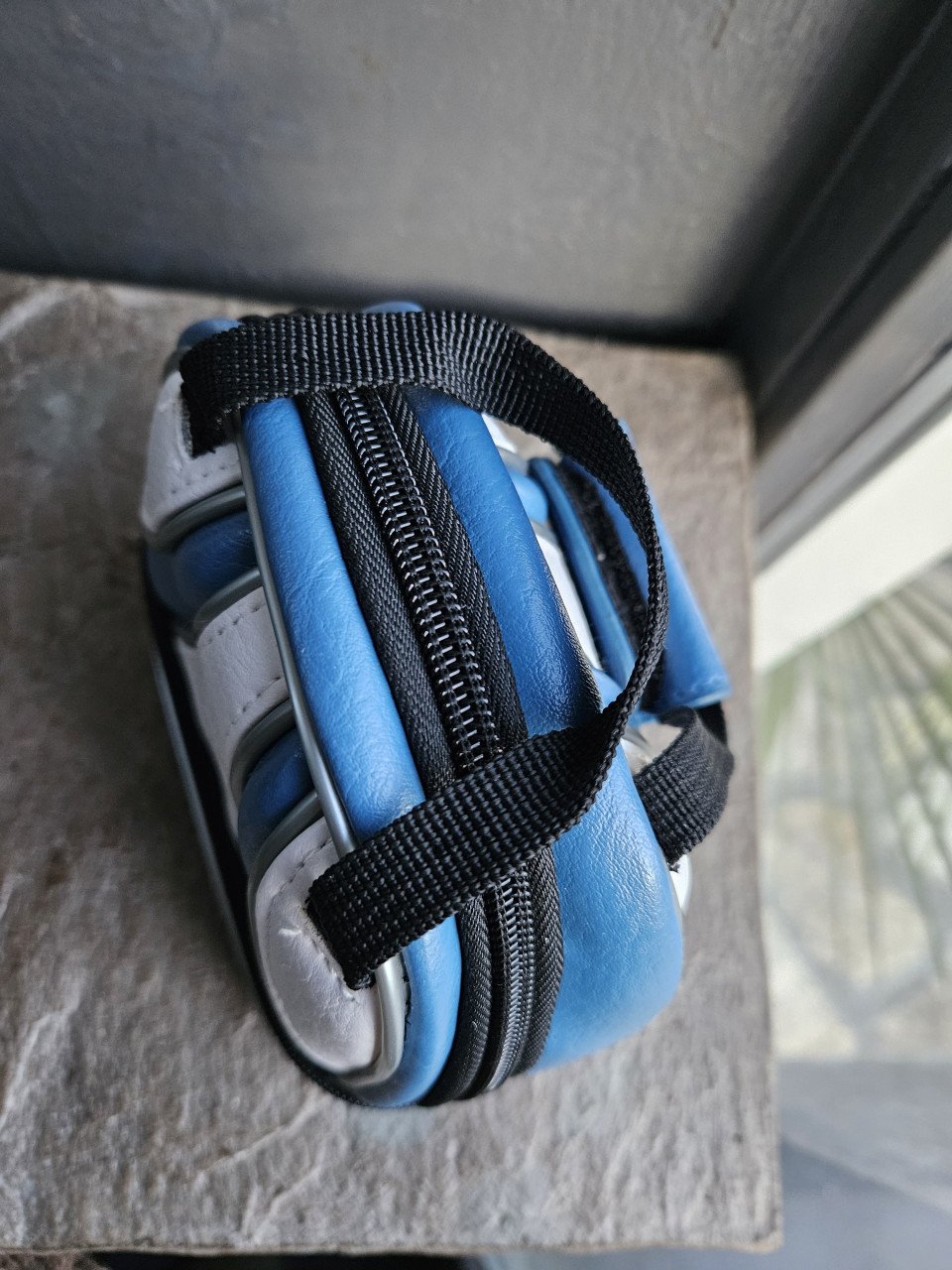 Nintendo DS tas SPORTS Officiële Brunswick Bowling Edition....