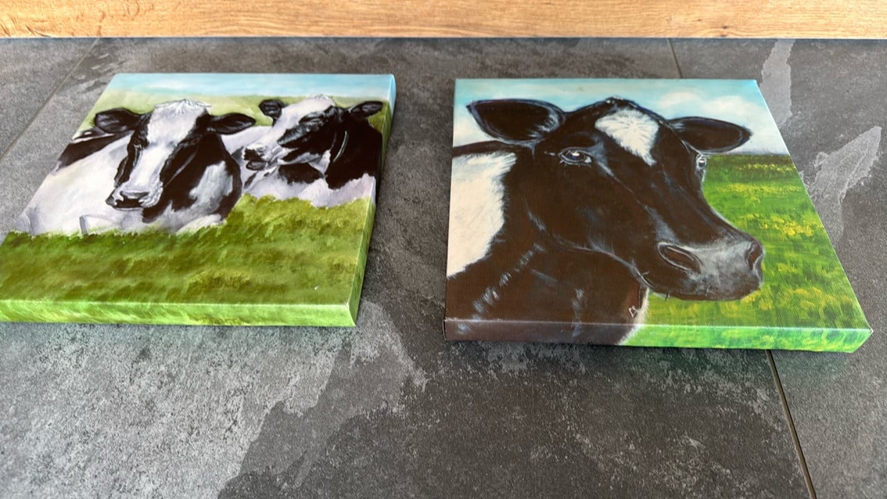 2 x cavans schilderij koe watervast