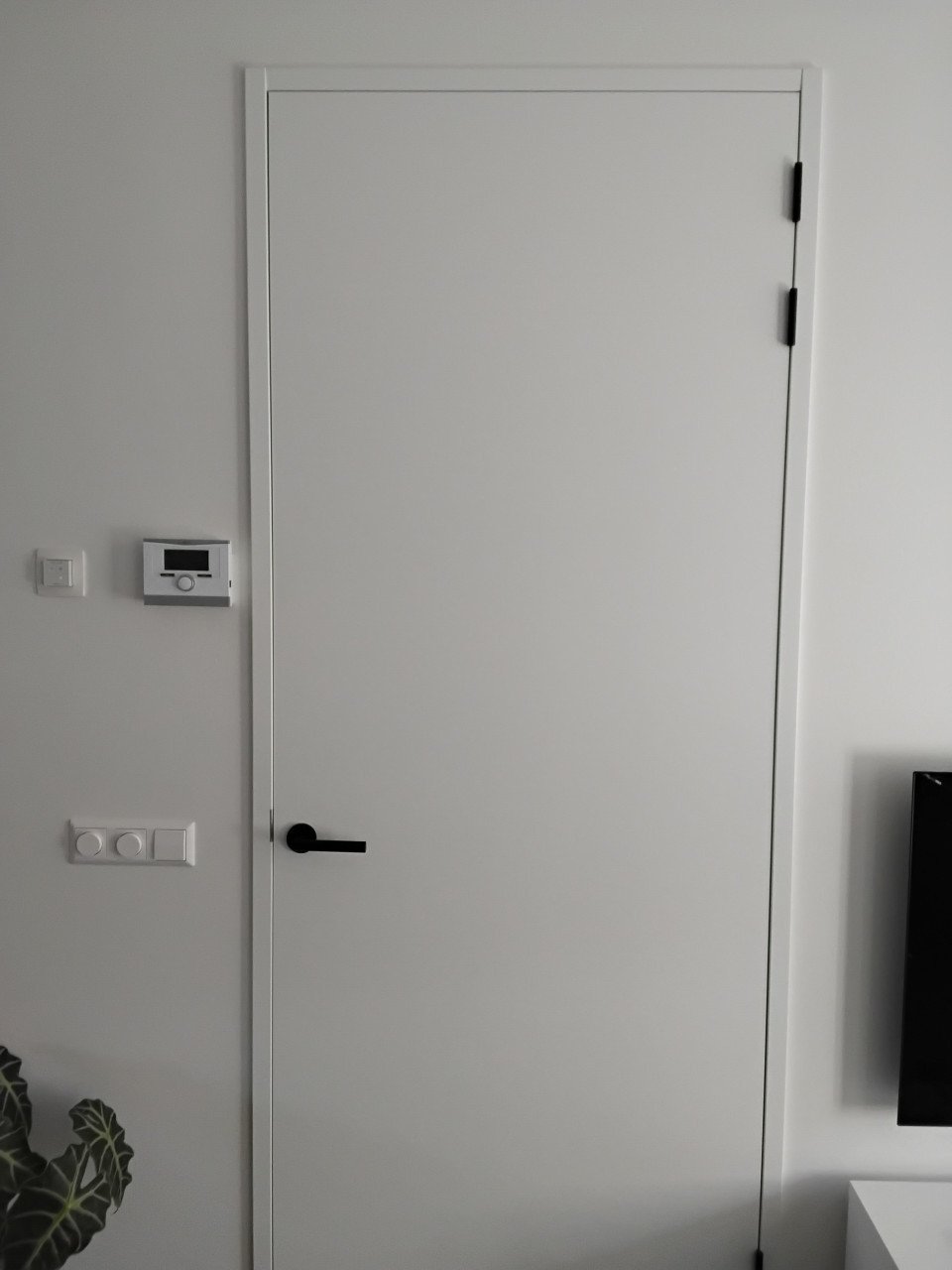 Binnendeur