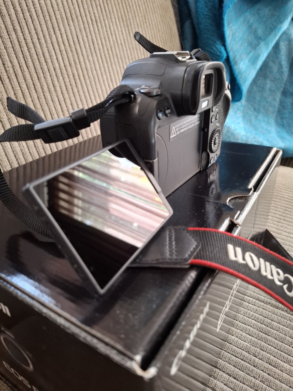 Canon R6 body