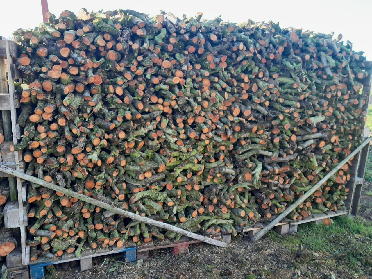Perenhout van de takken.
