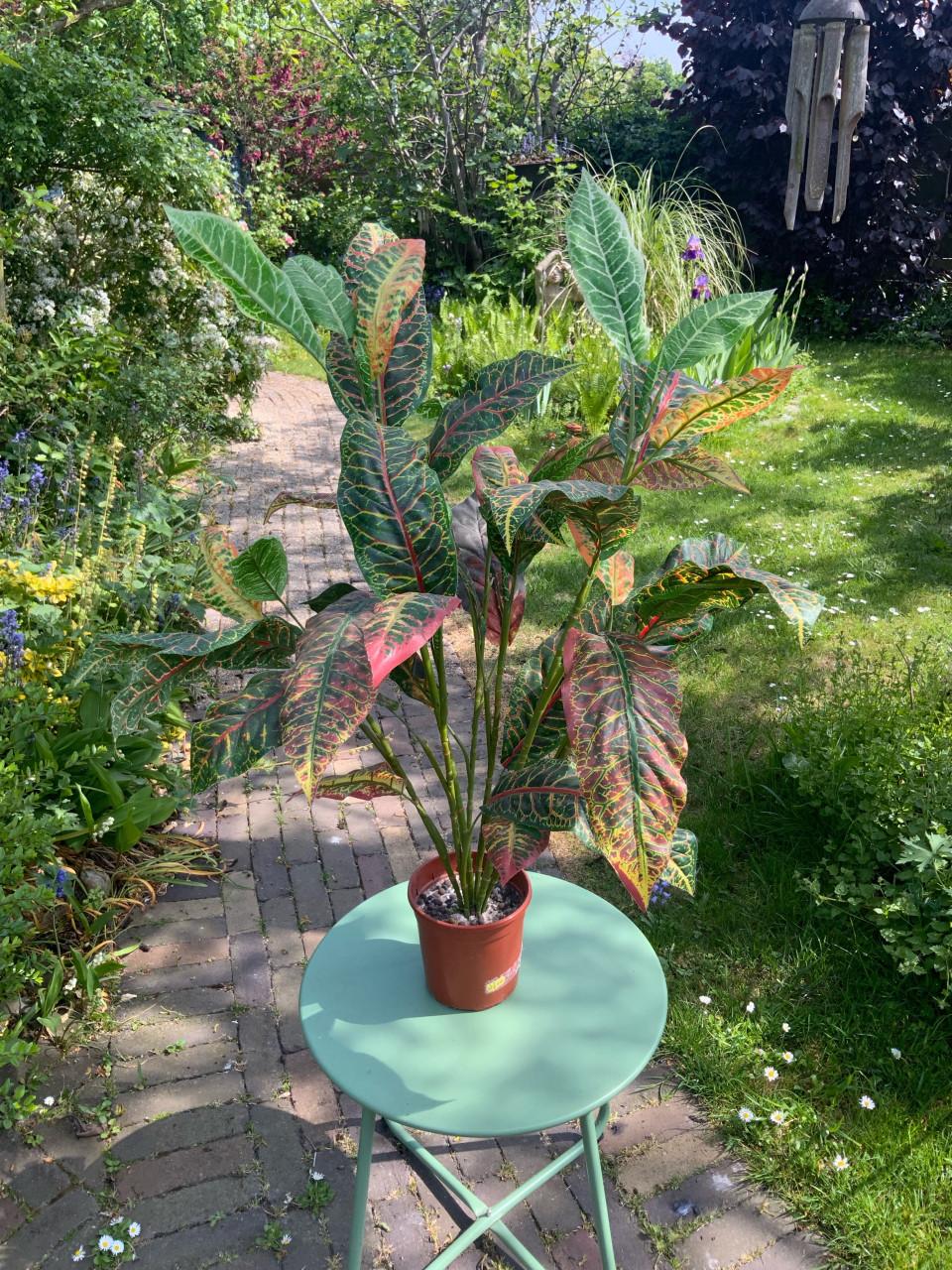 Kunstplant