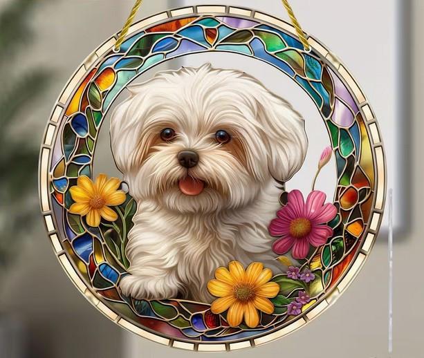 Raamhanger Malthezer