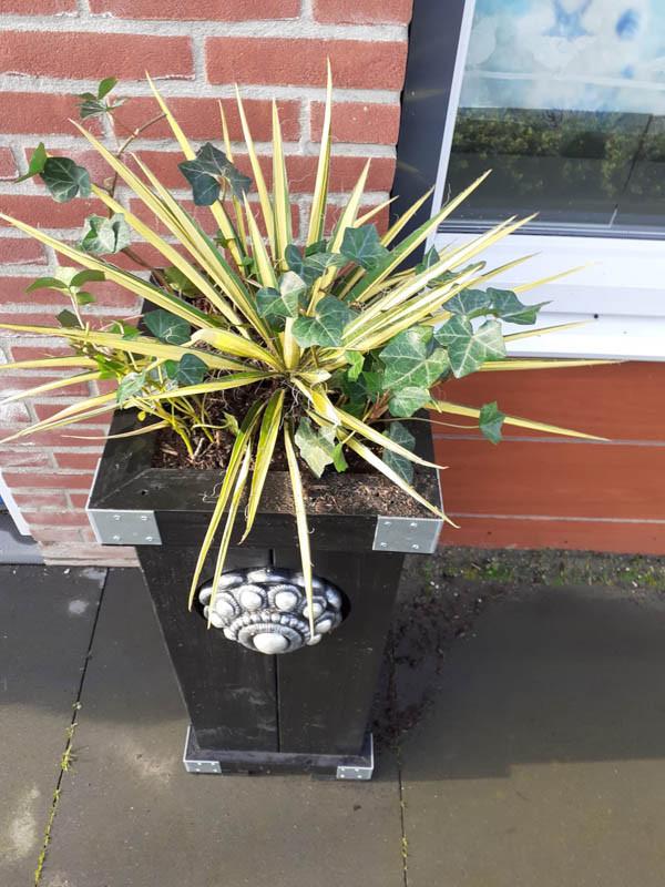 Zeeuwse knop bloembakken projecten ter inspiraties L32 x B35 x H85