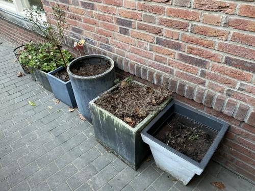 Plantenbakken met planten