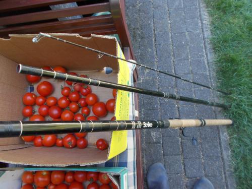 Binnenwaterhengel met molen
