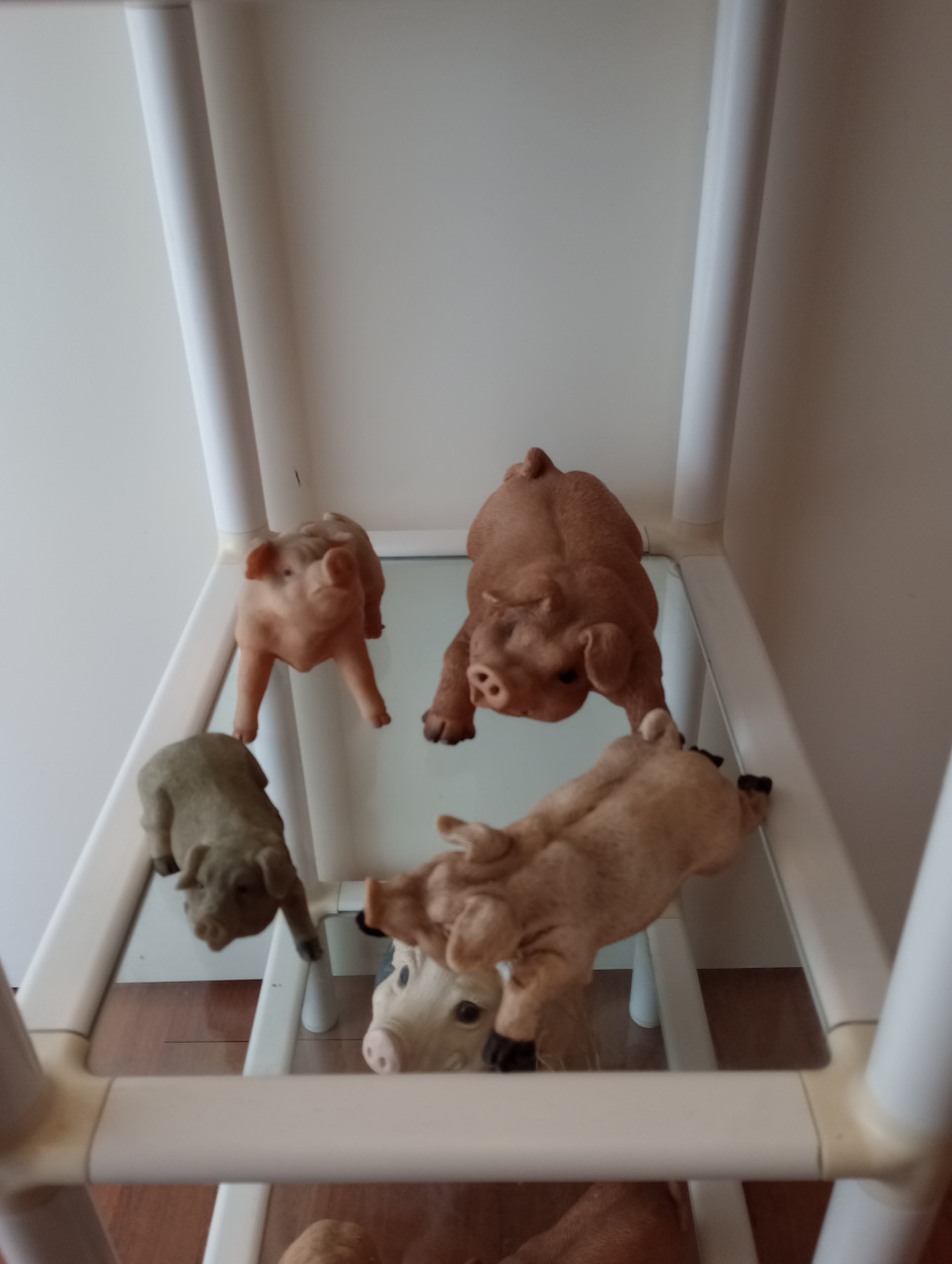 Verzameling varkens (beeldjes)