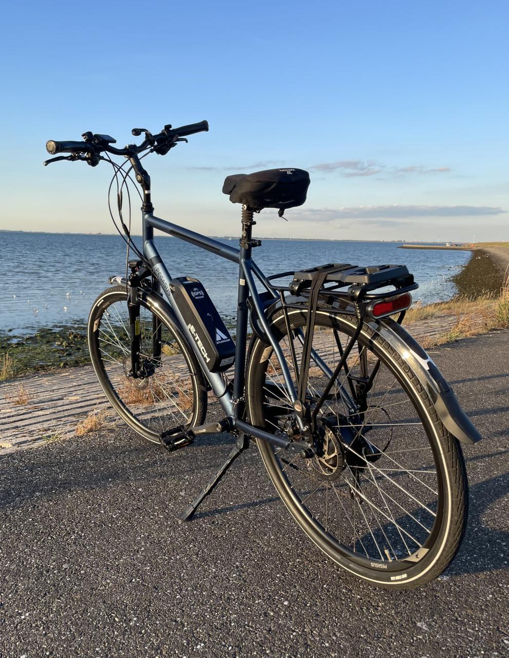 Custom Build Pegasus E-bike.