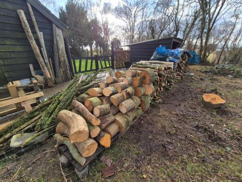 Haardhout