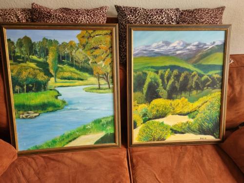 Set 2 x Schilderij  Rivier & Berg