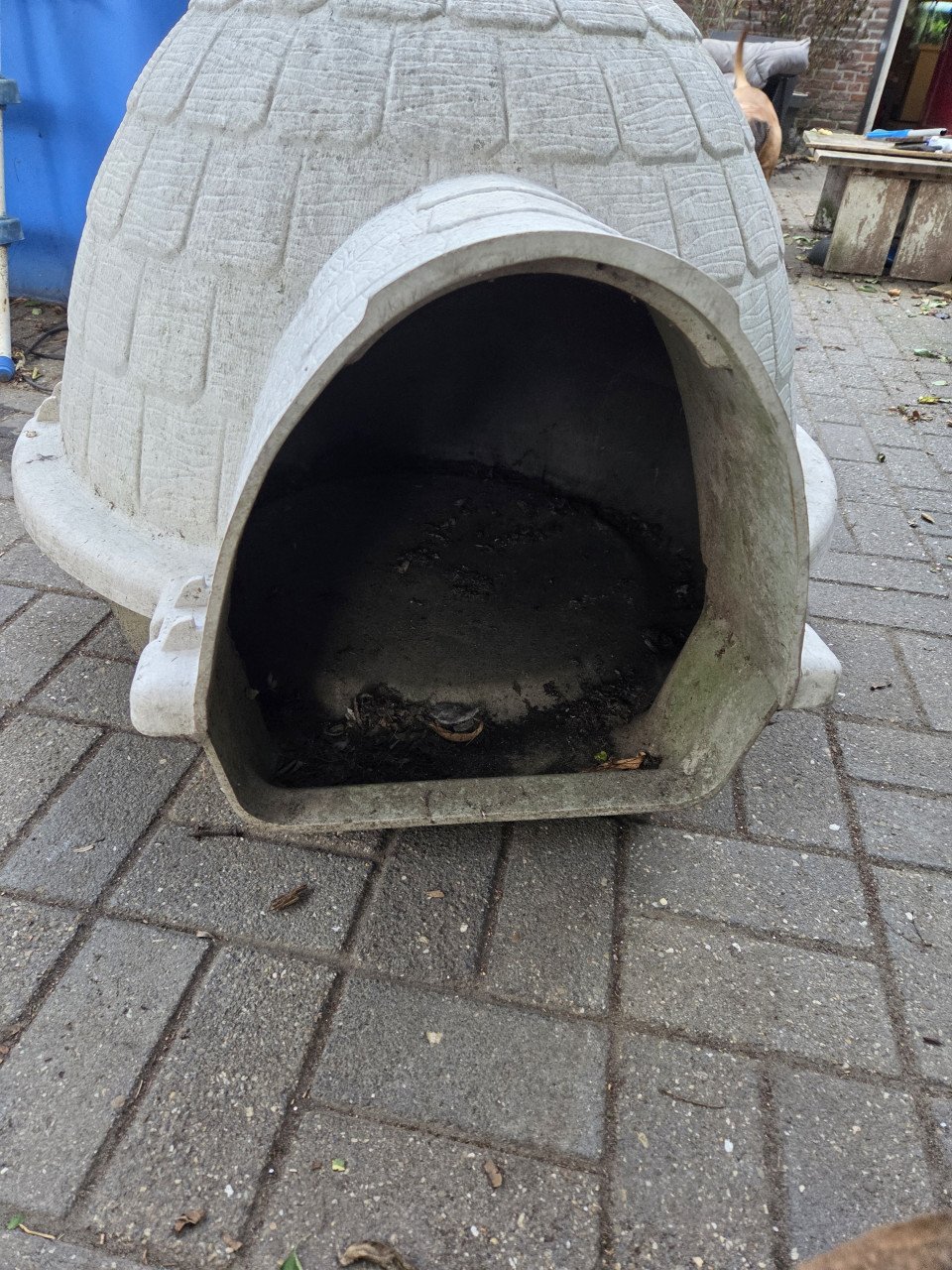Honden hok