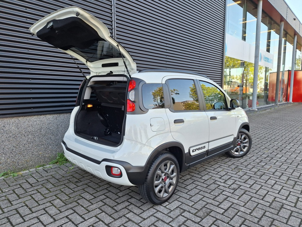 Fiat Panda 1.0 hybrid city cross