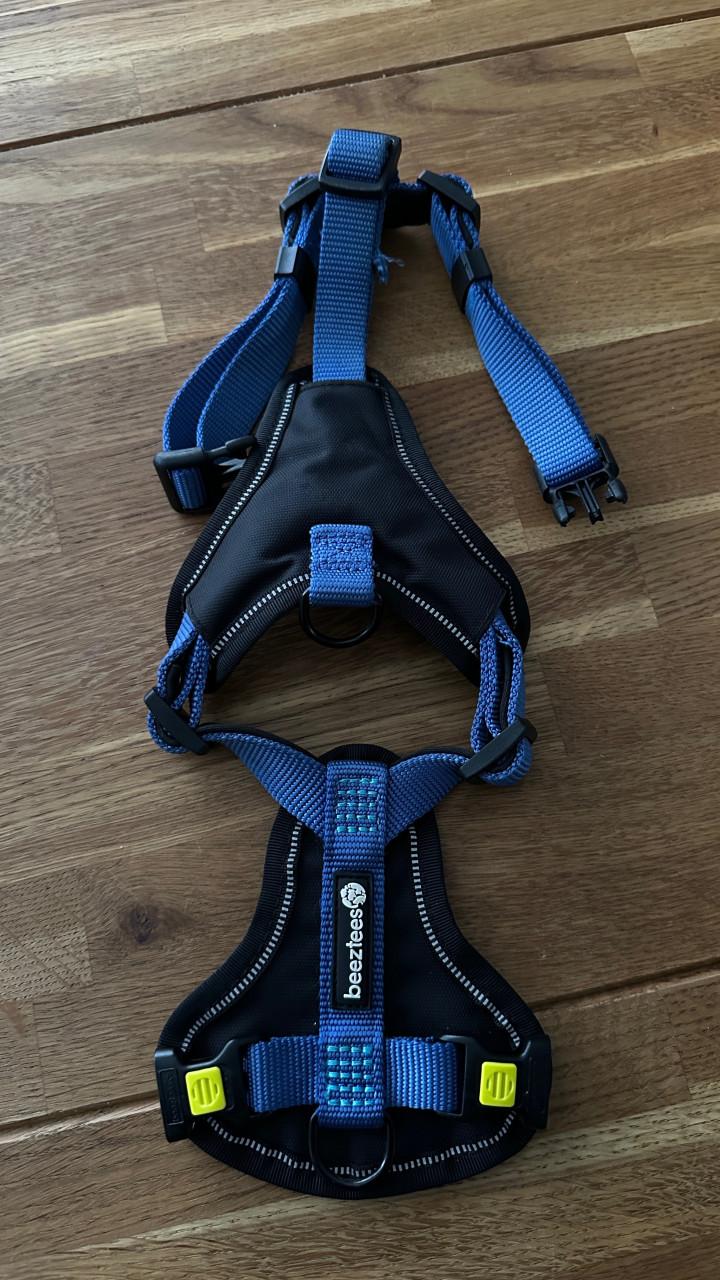 Honden tuigje riem blauw