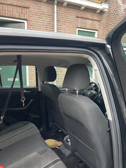 T-Roc 1.5 TSI Sport, automaat