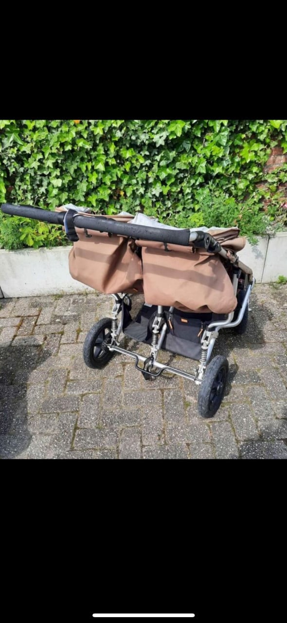 Duo buggy easywalker