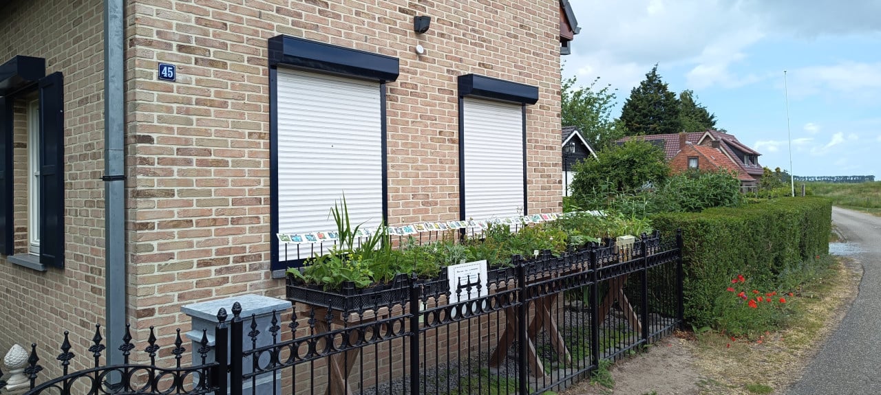 Vaste planten, vlinder,- en bijenplanten in het plantenkraam €1,25 p/st.