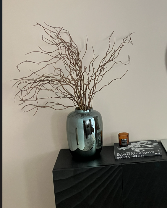 Vase The World vaas Arctic Gloss groot + takken