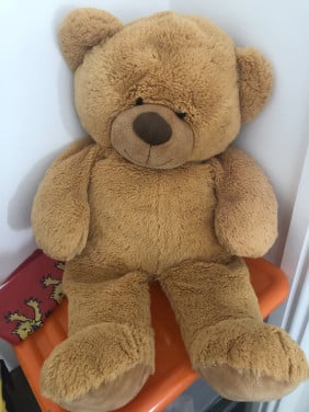 Pluche teddybeer