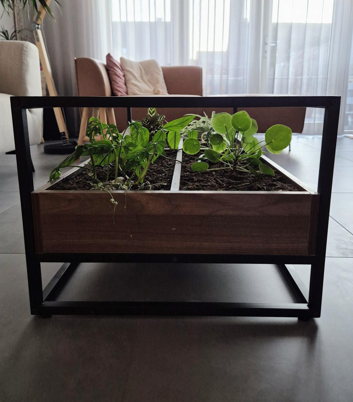 Unieke Zwart metalen Salontafel met glasplaat en plantjes