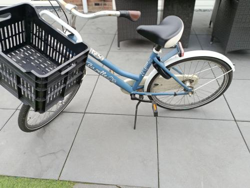 Te koop: Gazelle miss Grace 24 inch
