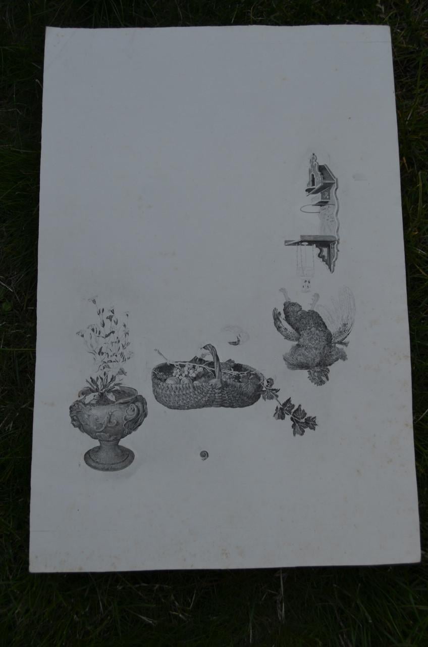 9 Staalgravures 19e eeuws Stadia van een schilderij van Gerard Dou