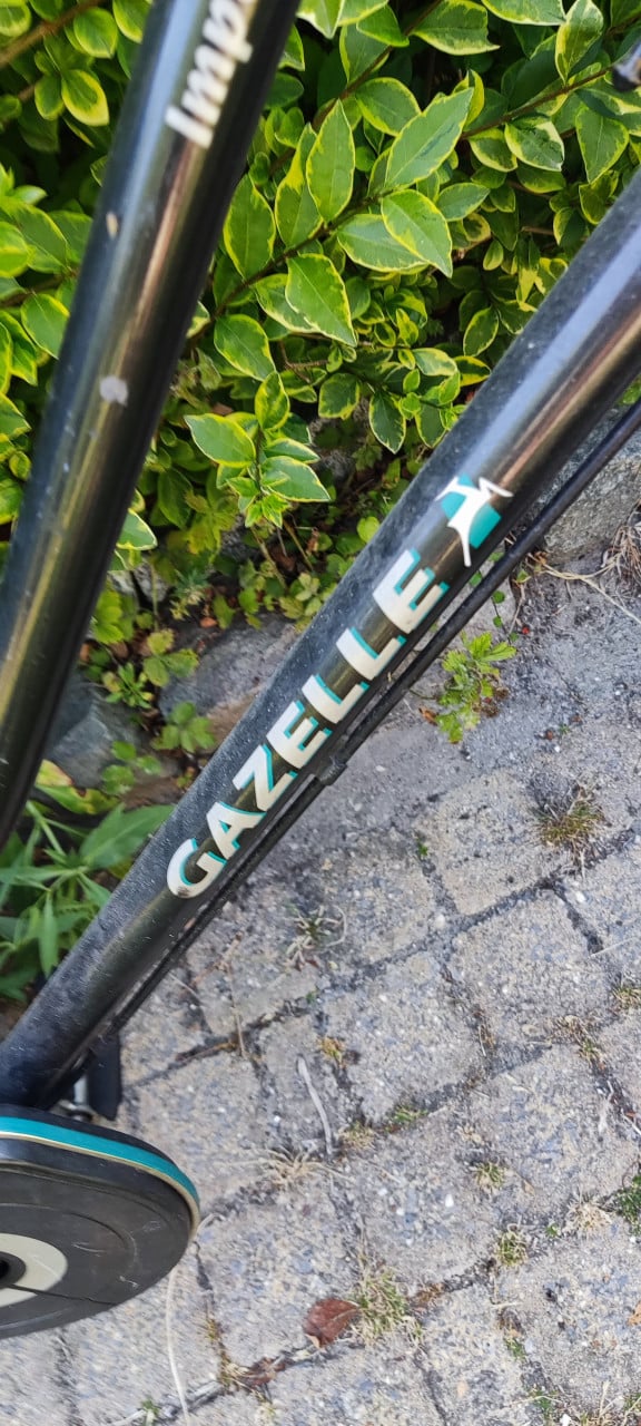 Gazelle damesfiets, kleiner frame, met 3 versnellingen