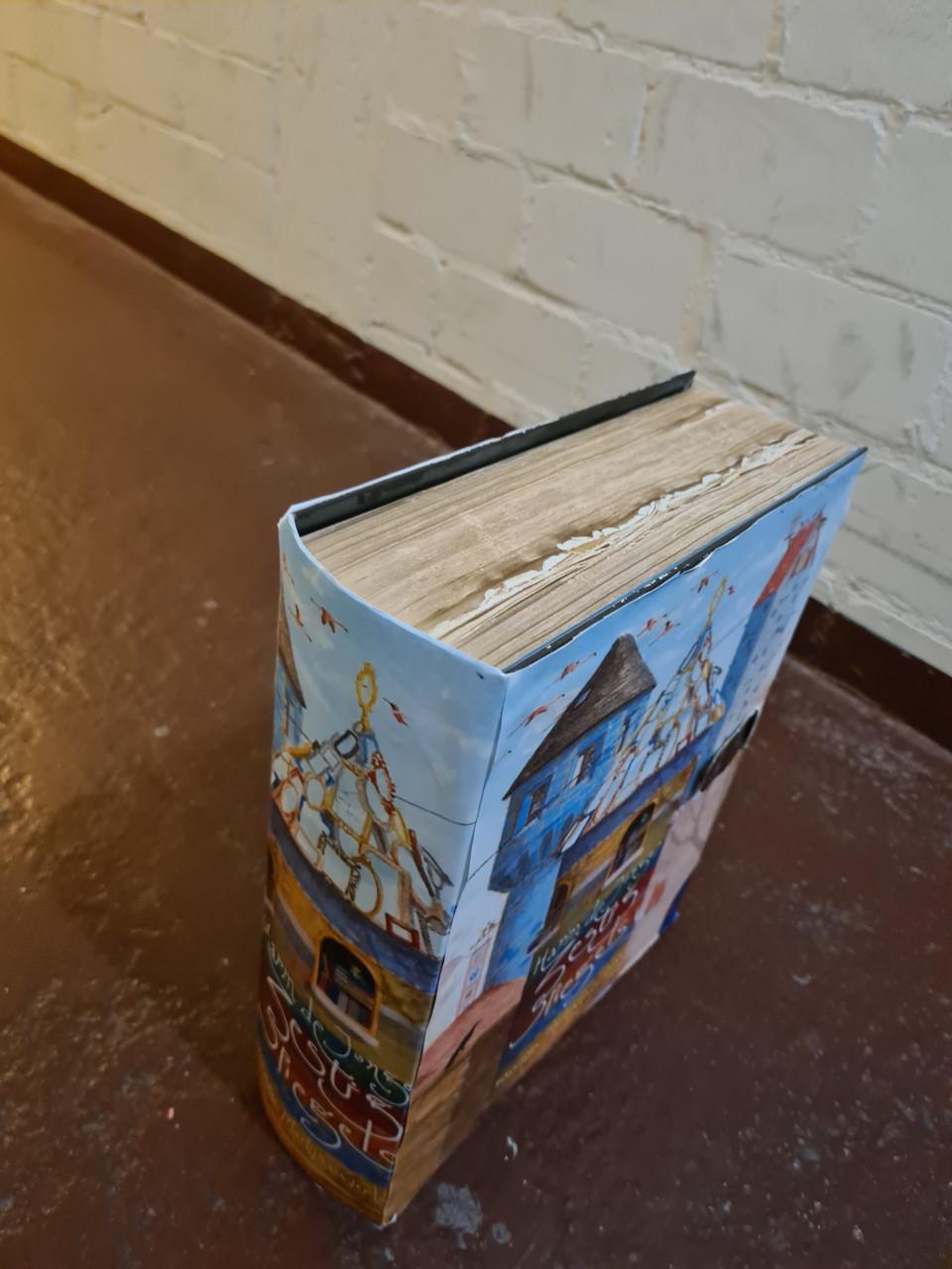 Surprise sinterklaas groot boek