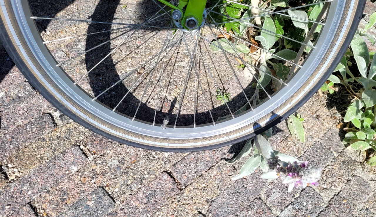 Meisjesfiets 22 inc