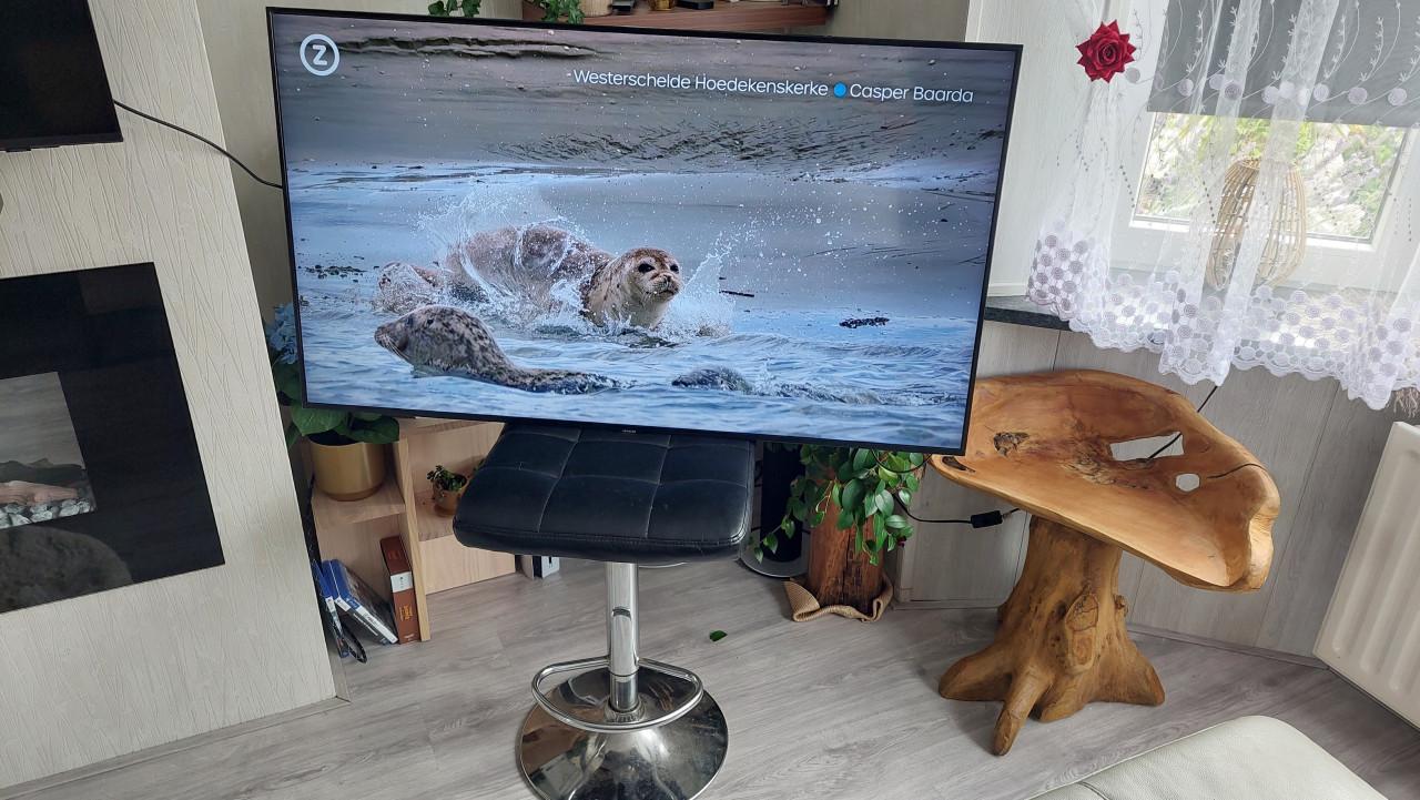 Samsung  50 Inch