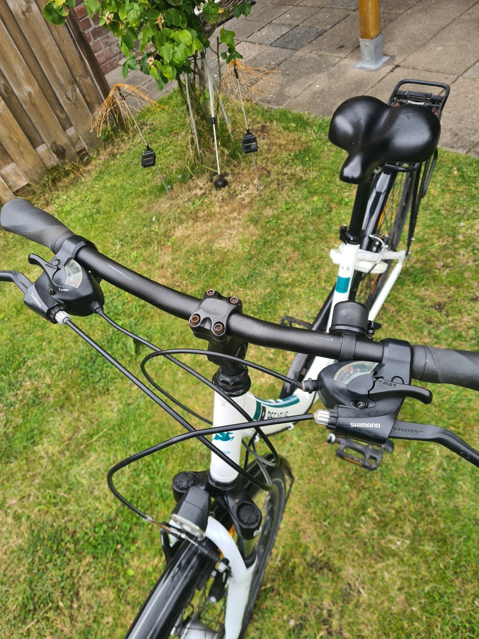 Dames fiets Pegasus
