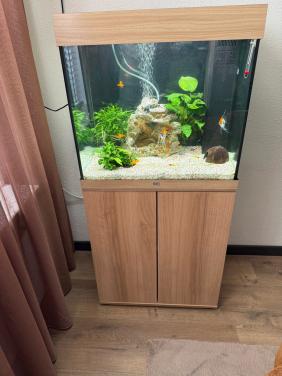 Juwel Lido 120 Led 61x41x58 cm - Aquaria