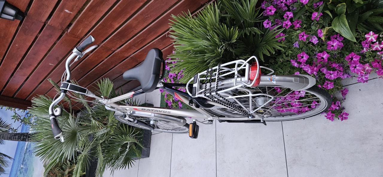 Batavus herenfiets 65 cm